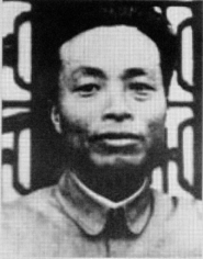 33张浩 33张浩