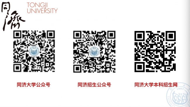 公众号 公众号