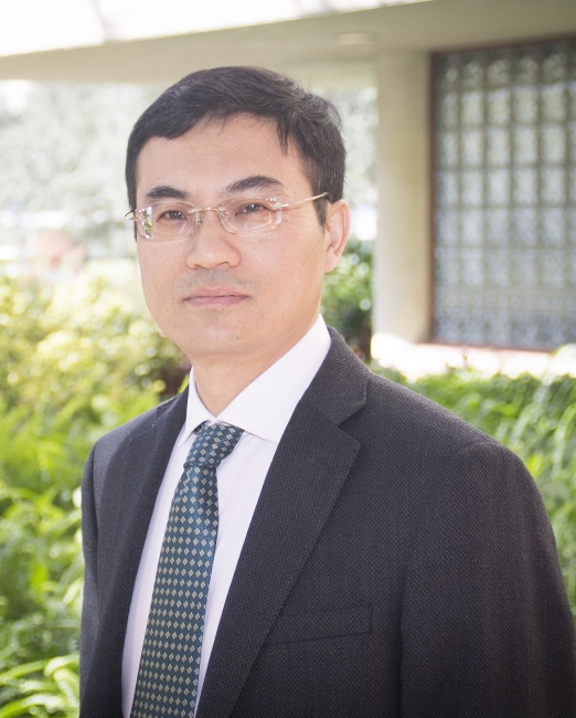 Qing Lu Qing Lu
